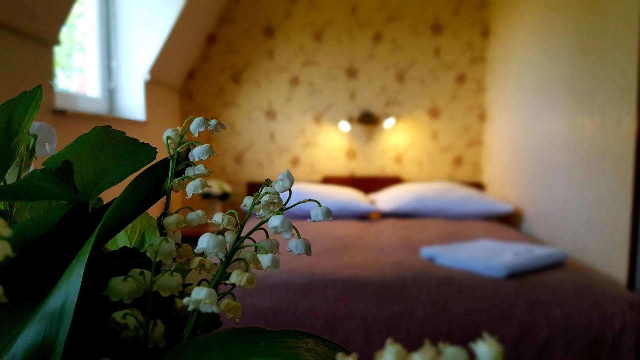 Villa Gracja Leba Ngoại thất bức ảnh
